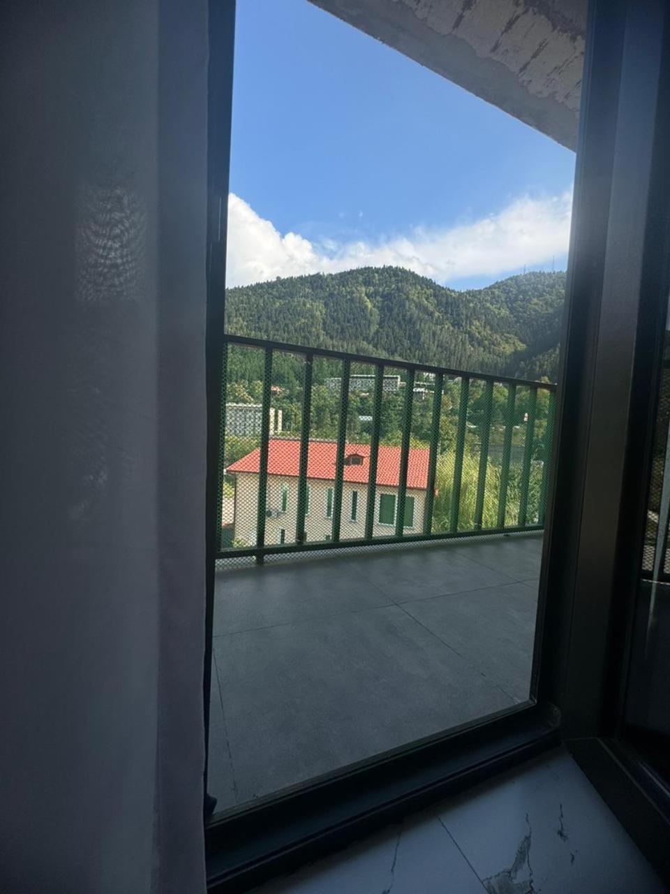New Apartments In Borjomi Bilik gambar